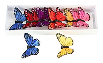 Shinoda Design Center 0165500211 12 Piece Bright Color Butterfly Decor, 3", Assorted