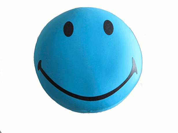 Tache Fun Squishy Smiley Face Microbead Pillow Blue