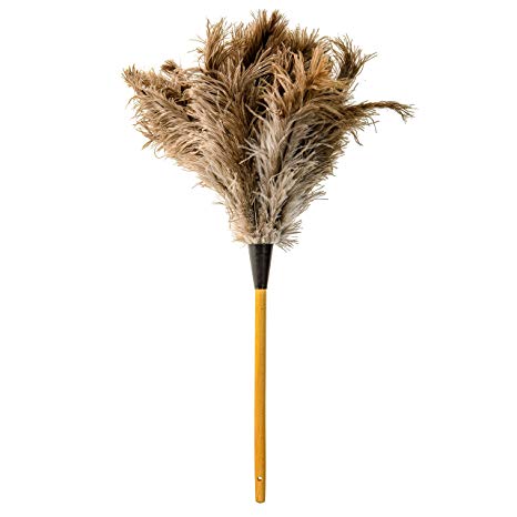 Royal Ostrich Feather Duster (Medium (22" Inch), Gray)