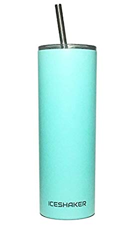 20 oz Stainless Steel Skinny Tumbler with Lid and Straw (Matte Mint)