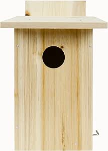 Nature's Way Bird Products DIY First Viewing Window Garden-Bird-House, Wood