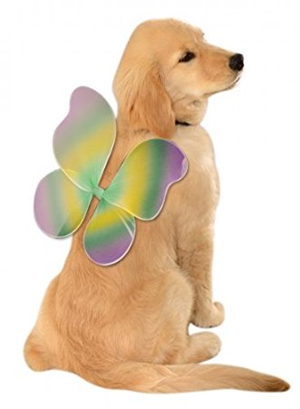 Rubies Costume Company Mardi Gras Fairy Wings for Your Pet