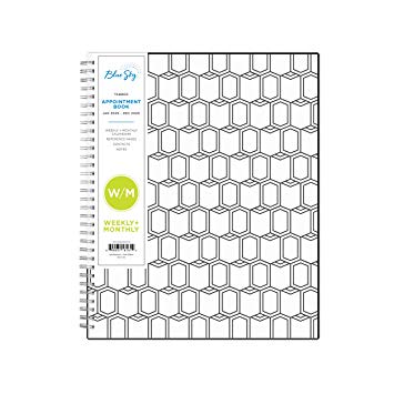 Blue Sky 2020 Weekly & Monthly Appointment Book & Planner, 15-Minute Increments, Flexible Cover, Twin-Wire Binding, 8.5" x 11", Sheridan Black