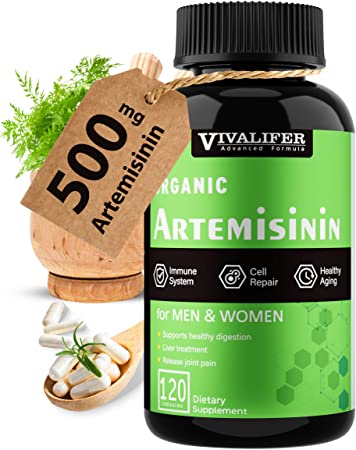 Artemisinin 500 mg - 120 Vegetarian Capsules, Sweet Wormwood Extract, Artemisia Annua Improve Immune Function Digestive Support Antimalarial and Anti-Aging