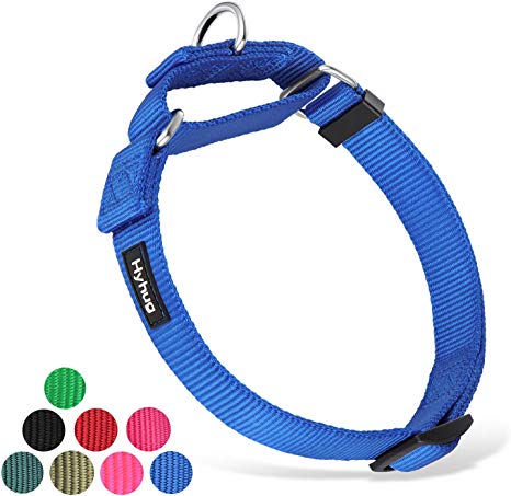 Hyhug Pets Premium Upgraded Heavy Duty Nylon Anti-Escape Martingale Collar for Boy and Girl Dogs Comfy and Safe - Professional Training, Daily Use Walking.