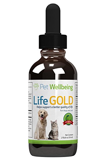 Life Gold For Dogs and Cats - A Natural, Herbal Supplement that Helps Manage Health of Your Dog 2 Ounces