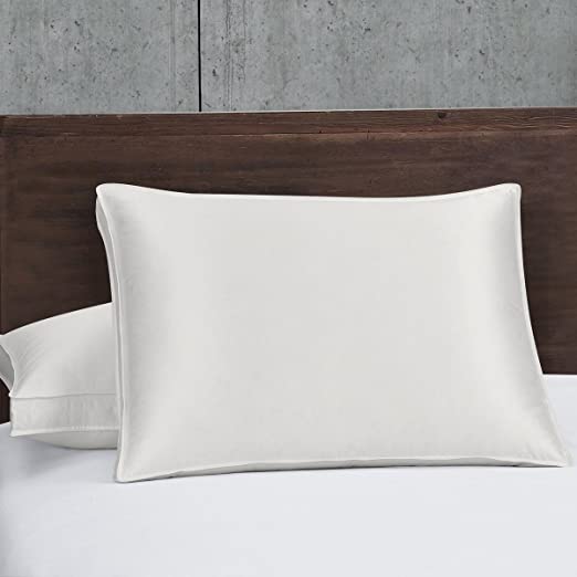 Royal Hotel Abripedic Silk Goose Down Pillow - 450 Thread Count Cotton-Silk-Blend Shell, King Size, Soft, Set of 2