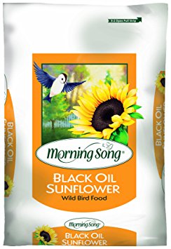 Morning Song Black Oil Sunflower Wild Brid Food, 50-Pound