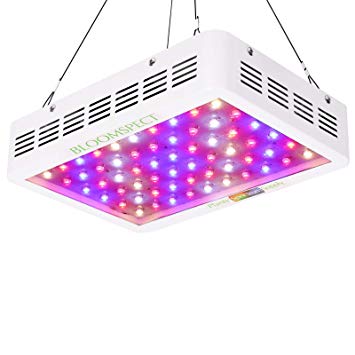 BLOOMSPECT 600W LED Grow Light with Double Chips: Full Spectrum for Indoor Greenhouse Hydroponic Plants Veg and Blooming