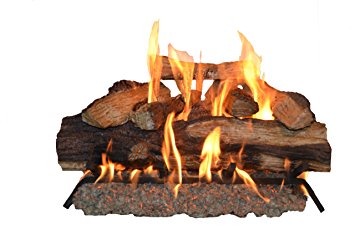 Sure Heat SH24DBNG Sure Heat Seasoned Hickory Dual Burner Vented Gas Log Set, 24-Inch, Natural Gas