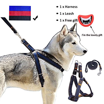 Whippy Durable Dog Leash Harness for Dogs, Heavy Duty and Adjustable Dog Harness Dog Training Leash Collar for Dogs