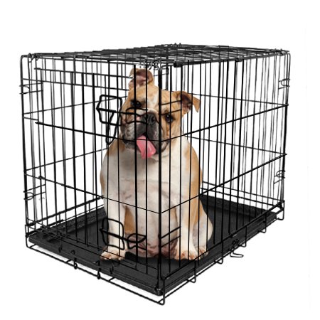 Vibrant Life Single-Door Folding Wire Dog Crate with Divider, 36"
