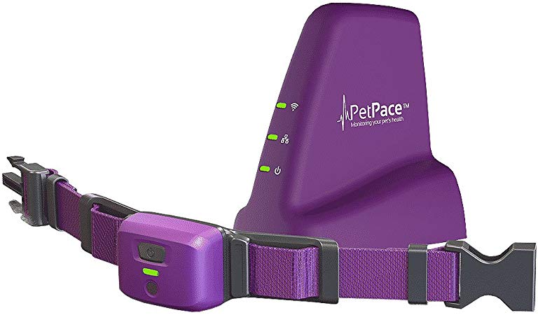 PetPace Smart Collar with 12 Months Pet Plus Monitoring