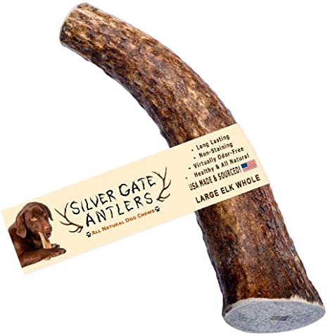 Silver Gate Antlers Elk Antlers for Dogs - USA Antler Dog Chew Bone Treats - All Natural, Long Lasting Dog Treat - Elk and Deer Horn Dog Chews Toys, Perfect for Aggressive Chewers - Naturally Shed!
