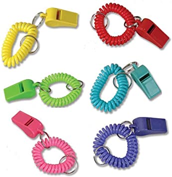 Hosfairy 24pcs Colorful Bracelet Whistle Keychain Party Birthday Offer Sports Bracelet Whistle Outdoor Sports Wrist Easter Basket Party Decoration