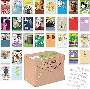 Recycled Paper Greetings 30-Count Funny All Occasion Card Assortment with Envelopes, Seals, and Storage Box by Hey Look!