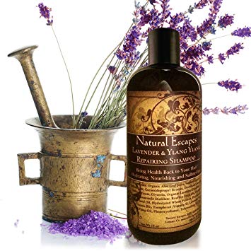 Lavender & Ylang Ylang Repairing Shampoo | Organic Shampoo for Color Treated Hair, Hair Loss, Dry Hair, Eczema, Psoriasis & More | Sulfate Free Shampoo Leaves Hair Soft & Moisturized | 16oz