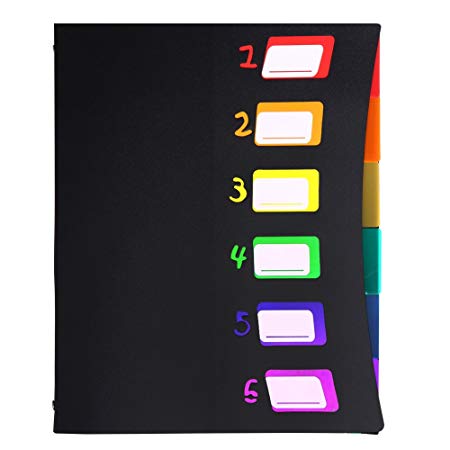 6-Pocket File Folder, Office File Folders Letter Size, Portable Document Organizer, Colored Filing Holder, Storage Bags, Rainbow Insert Tabs for Labels, PP Binder Wallet, Classification Filing Pouch