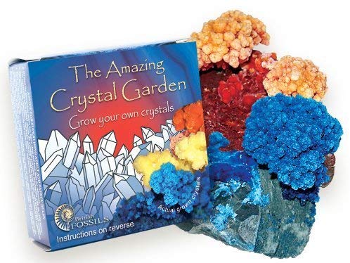 Grow Your Own Crystal Garden - Buy One Get One Free! by Fossil Gift Shop