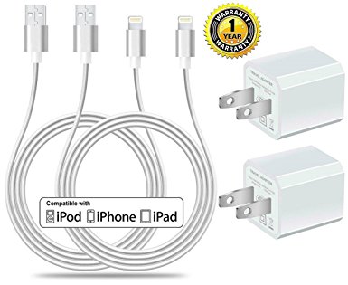 Certified 5W 1A USB Power Wall Charger with 2-Pack 10FT/3M [Heavy Duty] Nylon Braided 8 Pin Lightning to USB Cable Charger (Silver) (4-Pack) (2 Pack 10 Feet   2 USB Adapters)