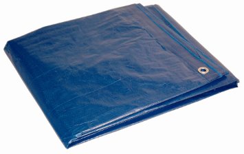 10' x 12' Dry Top Blue Full Size 7-mil Poly Tarp item #010121
