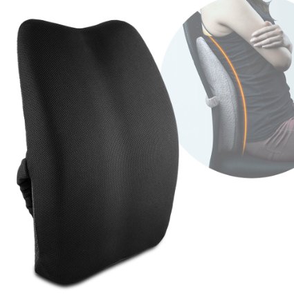 Memory Foam 3D Ventilative Mesh Lumbar Support Back Cushion Pillow to Properly Align the Spine and Ease Lower Back Pain with Insert and Strap for HomeOffice Chair and Car Black