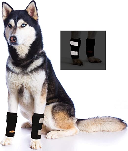 Pair of NeoAlly Dog & Cat Front Leg Braces Carpal Support with Safety Reflective Straps for Front Hock Joint, Cruciate Ligament, Wound Healing and Loss of Stability from Arthritis