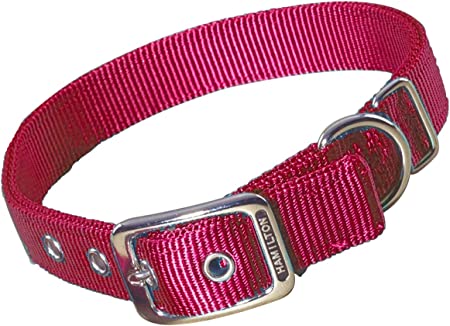 Hamilton Double Thick Nylon Deluxe Dog Collar, 1-Inch by 22-Inch, Red