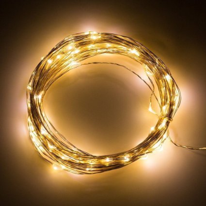 LightsEtc 33ft 100LED Warm White Copper Wire Lights LED Copper String Lights USB Copper Rope Lights for Christmas, Holiday, Party, Indoor, Outdoor, Homes, Decor