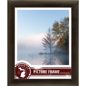 Craig Frames 23247778 Smooth Wood Grain Finish 8 by 12-Inch Picture/Poster Frame, 1-Inch Wide, Brazilian Walnut