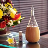 Raindrop Nebulizing Essential Oil Diffuser For Aromatherapy By Organic Aromas Light-colored Wood Base and Glass Reservoir