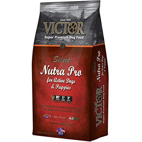 Victor Nutra Pro for Active Dogs & Puppies 40 lbs.