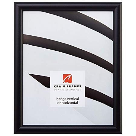 Craig Frames fw2bk2027A 0.765-Inch Wide Picture/Poster Frame in Smooth Finish, 20 by 27-Inch, Matte Black