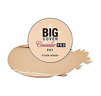 Etude House Big Cover Pot Concealer Pro (4g) (Sand)