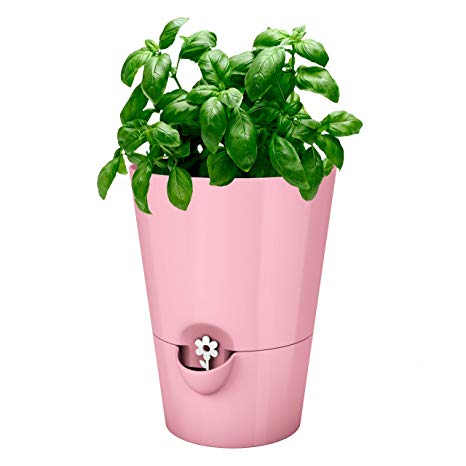 Emsa Germany: Fresh and Healthy Herbs for Weeks – Indoor Garden | Stylish self-Watering Planter, Foolproof & Easy to use | 5.1 inch | Dusky Pink