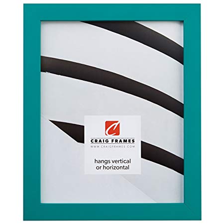 Craig Frames 140648 20 by 24-Inch Picture Frame, Solid Wood, Smooth Finish, 0.875-Inch Wide, Teal Green