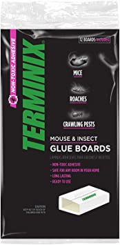Terminix T872 Home Pest Value Pack Glue Boards, 12 Pack