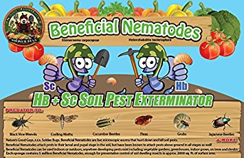 10 Million Live Beneficial Nematodes Hb & Sc - Kills Over 200 Different Species of Soil Dwelling and Wood Boring Insects.