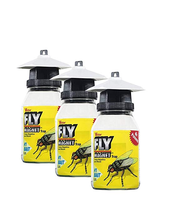 Safer Brand Victor M380 Fly Magnet Reusable Trap with Bait (3 Pack)