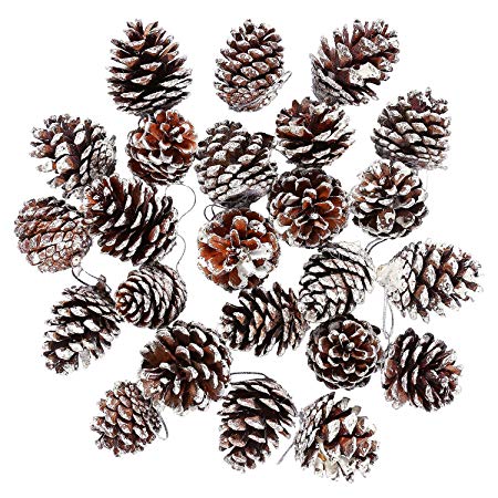Coobey 24 Pieces Christmas Pine Cones Ornament Natural PineCones With String Pendant Crafts for Gift Tag Christmas Tree Party Hanging Decoration (Snow)