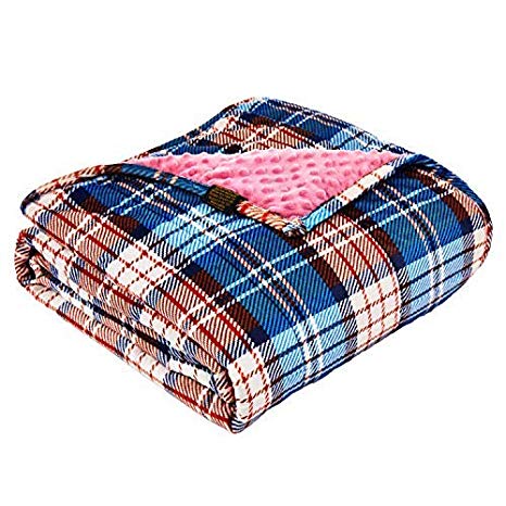 YnM Minky Weighted Blanket, 12lbs 48''x 72'' Ultra-Soft 2.0 Heavy Blanket for Twim/Full Bed, One Piece Design, Pink Plaid