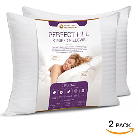 Premium Quality Stripe Pillow for Sleeping - Perfect Bedding Solution for Side & Back Sleepers. Extra Neck, Shoulder & Head Support. Premium Quality Microfiber Filling - Queen Size (2-Pack)