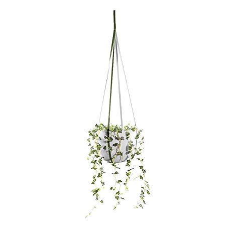 Genuine Leather Plant Hanger -Modern Hanging Planter Shelf for Indoor Plants and Succulents（Green）