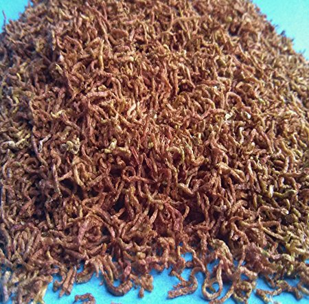 Freeze Dried Bloodworms, Clean Fresh 100% Bloodworms. Aquatic Foods Freeze Dried Tropical Fish Foods