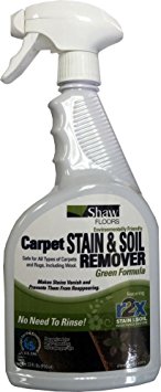 Shaw R2X GREEN Carpet Stain & Soil Remover 32oz Spray