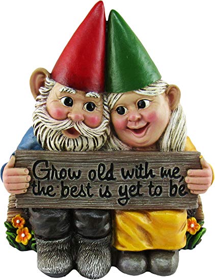 DWK - Growing Old Together - Garden Gnome Couple in Love Collectible Figurine Best Friends Lovers Romantic Statue Indoor Outdoor Garden Patio Home Décor, 5.75-inch