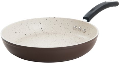 The Stone Earth Pan by Ozeri with 100 PFOA-Free Stone-Derived Non-Stick Coating from Germany