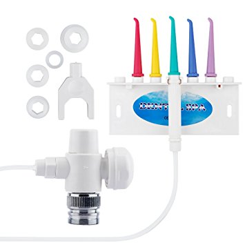 HailiCare Oral Irrigator Dental Care Water Jet Flosser Teeth SPA Toothbrush Sets Pick Cleaner (#3)