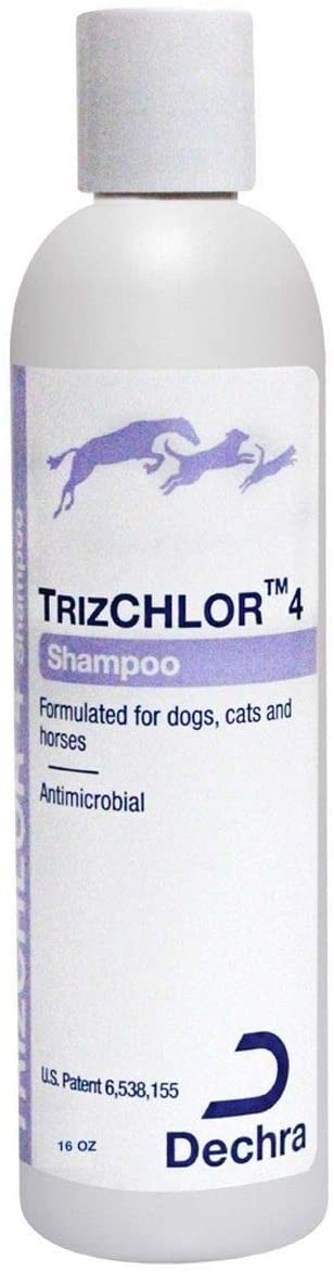 DechraTopical TrizCHLOR 4 Shampoo for Dogs, Cats & Horses (16oz), Model Number: 1810123
