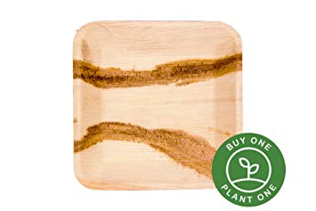 9” Deep Square Palm Leaf Plates - Pack of 25 - Disposable, Compostable, Natural, Tree Free, Sustainable, Eco-Friendly - Fancy Rustic Party Dinnerware and Utensils Like Wood, Bamboo
